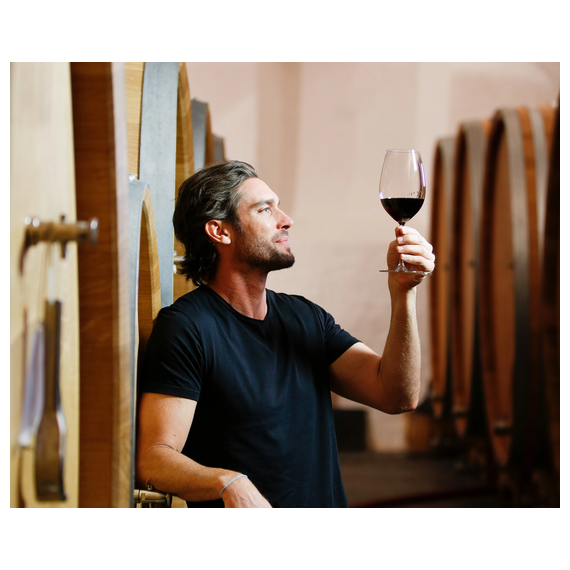 Набор бокалов Vinum Shiraz / Syrah, 4 шт., 700 мл, 5416/30-23, Riedel, фото , изображение 5